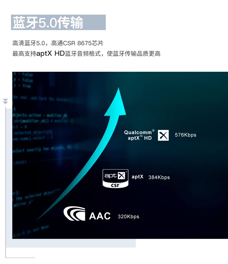 5.webp.jpg